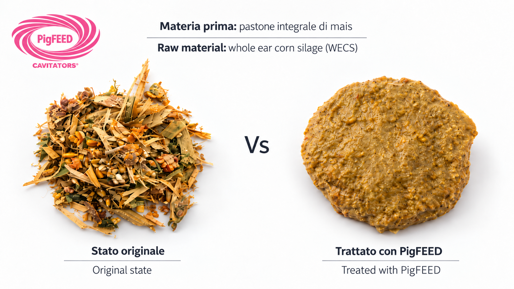 Pastone integrale di mais: materia prima e prodotto trattato con PigFEED